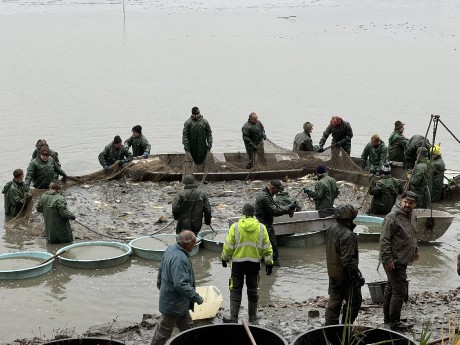 571750102_1239373454883858_2617392349512855545_n