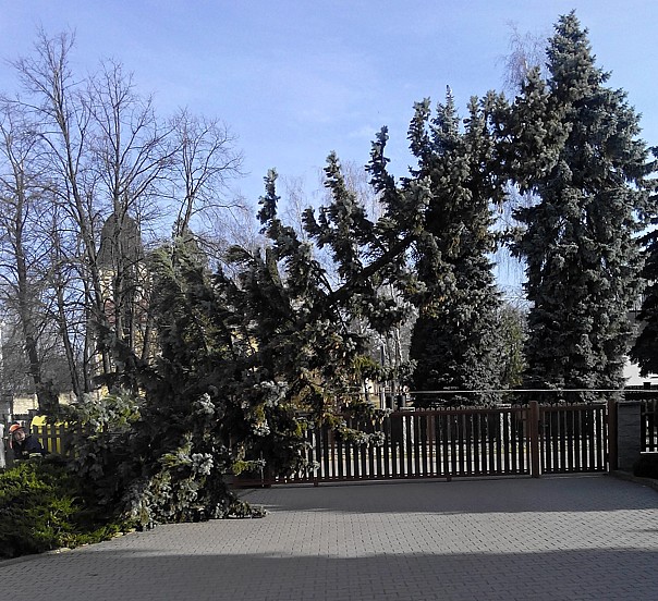 IMG_20150323_081140detail
